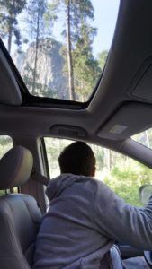 Watching the Yosemite National Park